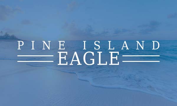 Pine Island Eagle